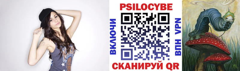 цена   Ивангород  Псилоцибиновые грибы Psilocybine cubensis 